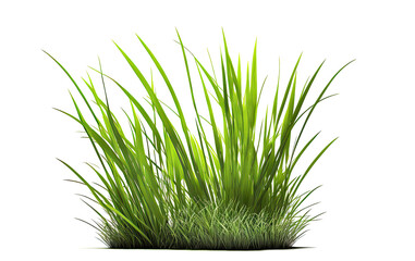 Obraz premium Green grass isolated on white background. Generative AI.