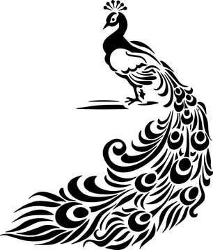 recommend clip art: Peacock illustration, peacock PNG, Graphic resource, Design element