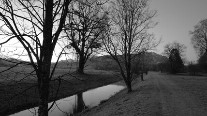 Bare trees and leaned ladder next to a river in black and white