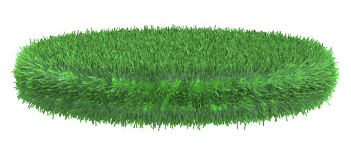 grass isolated on white
