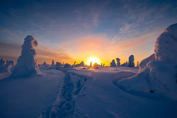 Rolgordijnen winter landscape © Artem