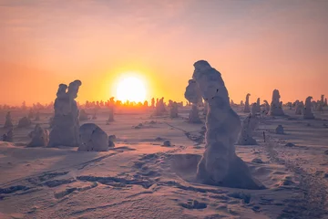 Fotobehang winter landscape © Artem