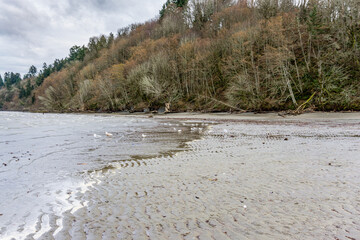 Winter Puget Sound Shoreline