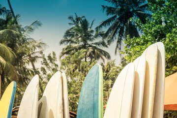 Different surf boards in stack for rent by ocean on sandy Hiriketiya Beach near Dickwella in Sri...