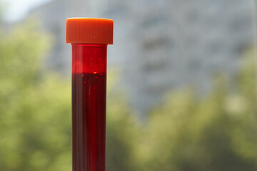 A test tube with blood on the background of a window with a view of nature. Transparent test tubes with a red substance . Selective focus. With a space to copy. High quality photo