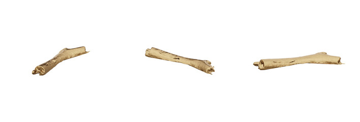 Elegant and stylish golden twig/wood/stump design. Ideal for adding a luxurious touch to your projects. PNG file with high transparency. 3d render.