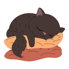 black cat sleeping in pillows
