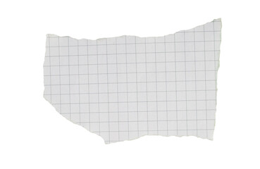 Torn graph paper piece on a transparent background. Png paper.