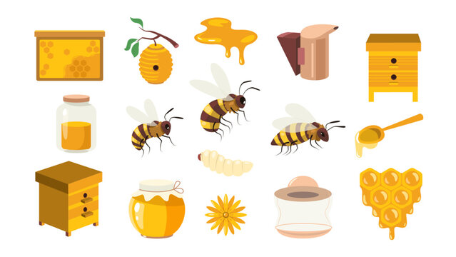 Honey cartoon collection. Beekeeping sweet elements, honeybee beeswax beehive honeycomb, organic bee apiculture products. Vector flat set