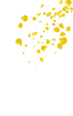 Amber Flower Tender Vector White Background.