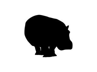 Hippopotamus Silhouette for Logo, Art Illustration, Icon, Symbol, Pictogram or Graphic Design Element. Vector Illustration