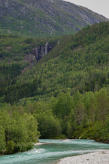 Green River going through mountains and green forest