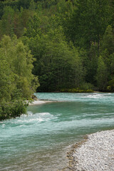 Green River going through mountains and green forest