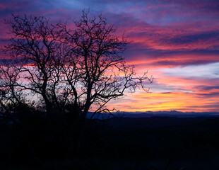 Fototapeta na wymiar Violet sky at sunset