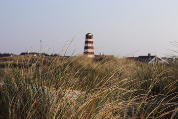 Lighthouse on the beach with tall grass in the wind