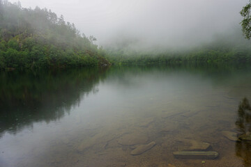 Clear water lake covered by fog and surrounded by green, healthy forest