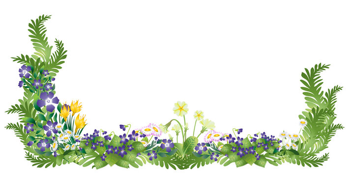 Composition fleurs de printemps et feuillages  sur fond transparent