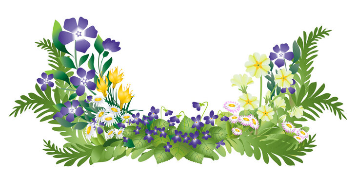 Composition fleurs de printemps et feuillages  sur fond transparent