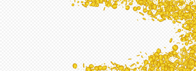 Business Golden Coin Vector Transparent Panoramic