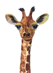 giraffe watercolor painted, funny face, isolated on white background