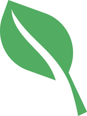 green leaf icon