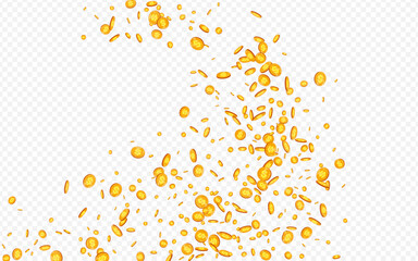 Monetary Metal Money Vector Transparent