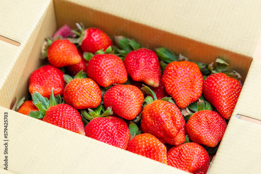 Sticker Juicy strawberries nestled in a cardboard box