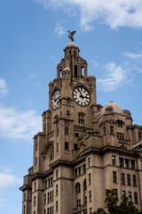 Fototapeta na wymiar Liverpool, United Kingdom: Liver Bird on Royal Liver Building clock tower. The liver bird is a mythical creature which is the symbol of the English city of Liverpool.