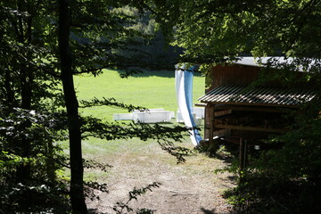 Wedding in the woods