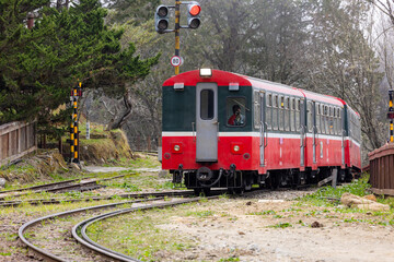 Obraz premium Alishan Forest Railway in Alishan national park