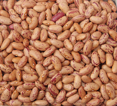 Red kidney beans background. Rajma Dal, kidney beans texture. top view