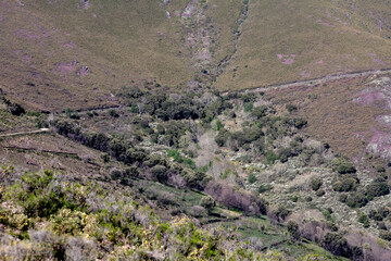 "Bojo", abandoned village in the council of Allande with buildings with slate roofs, surrounded by a protected cork oak grove