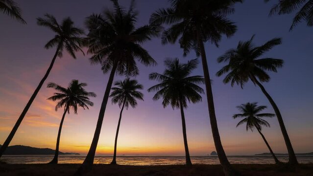 4K Time lapse of coconut palm tree against sunrise, Laem Had beach, Koh Yao Yai, Thailand 