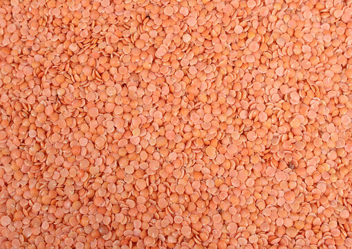 Red lentils, Lal masoor dal