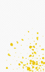 Mustard Lotus Beauty Vector Transparent