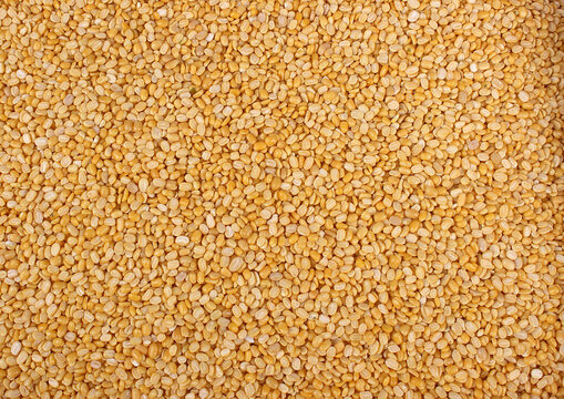 Split  skinned green gram, yellow lentils, Moong Dal, Moong Dhowa