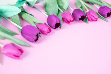 Obraz na płótnie Canvas beautiful pink tulips on pink background