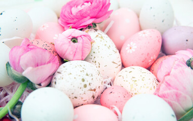 Fototapeta na wymiar Pastel color Easter eggs and pink buttercups flower background.