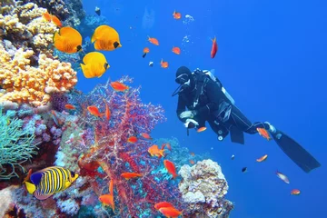 Fototapete Unterwasserwelt Scuba diver near beautiful coral reef surrounded with shoal of colorful coral fish and butterfly fish  © Tunatura