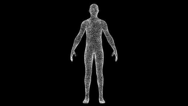 3D Human Body Man On Black Bg. Object Dissolved White Flickering Particles. Business Advertising Backdrop. Science Concept. For Title, Text, Presentation. 3D Animation