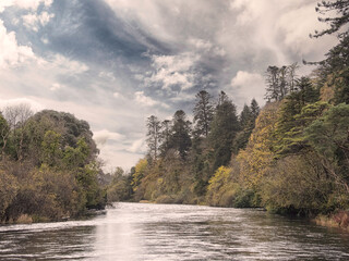 Fototapeta premium River flows in a forest. Nature scene with water and blue cloudy sky. Calm and relaxing mood. Muted colors. Travel and explore nature concept. Trip by boat in wild.