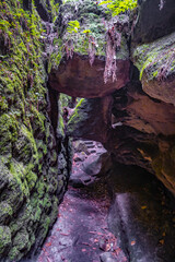 Mgical enchanted fairytale forest with fern, moss, lichen and sandstone rocks at the hiking trail Devil chamber in the national park Saxon Switzerland near Dresden, Saxony, Germany.