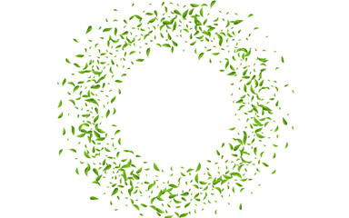 Green Leaves Realistic Vector White Background
