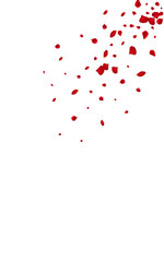 Pink Rose Summer Vector White Background. Beauty