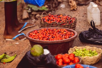 Array of colorful bowls filled with a variety of fresh fruit and vegetables displayed on a surface