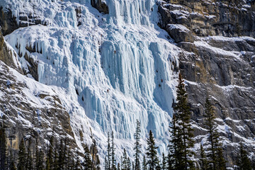Fototapeta na wymiar climbers climbing up on frozen waterfall on rock in jasper and naff national park