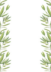 vertical postcard with watercolor images of olive leaves