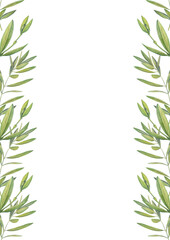 Obraz premium vertical postcard with watercolor images of olive leaves