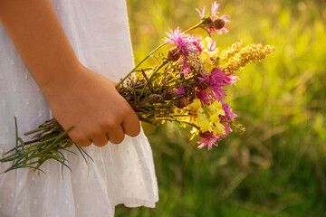 Teen girl wearing white dress holding wild flowers bouquet on a grassy sunny summer meadow field