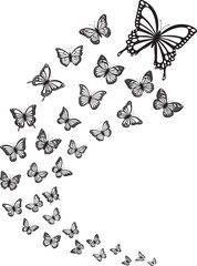 Fototapeta na wymiar Butterfly isolated on white background